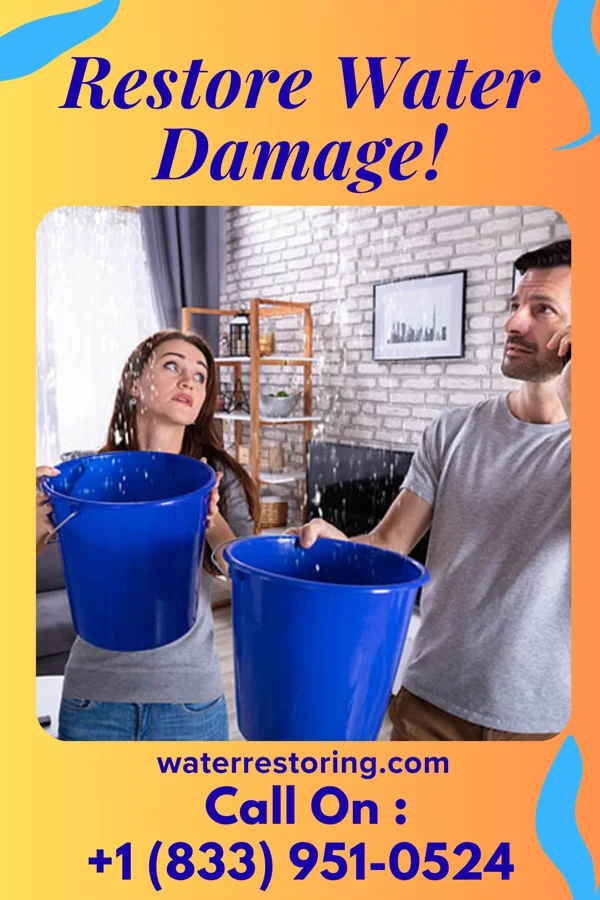 water restoration Premier Water Removal Company Lake Poinsett