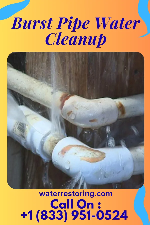 Burst Pipe Water Cleanup in Lake Poinsett, SD