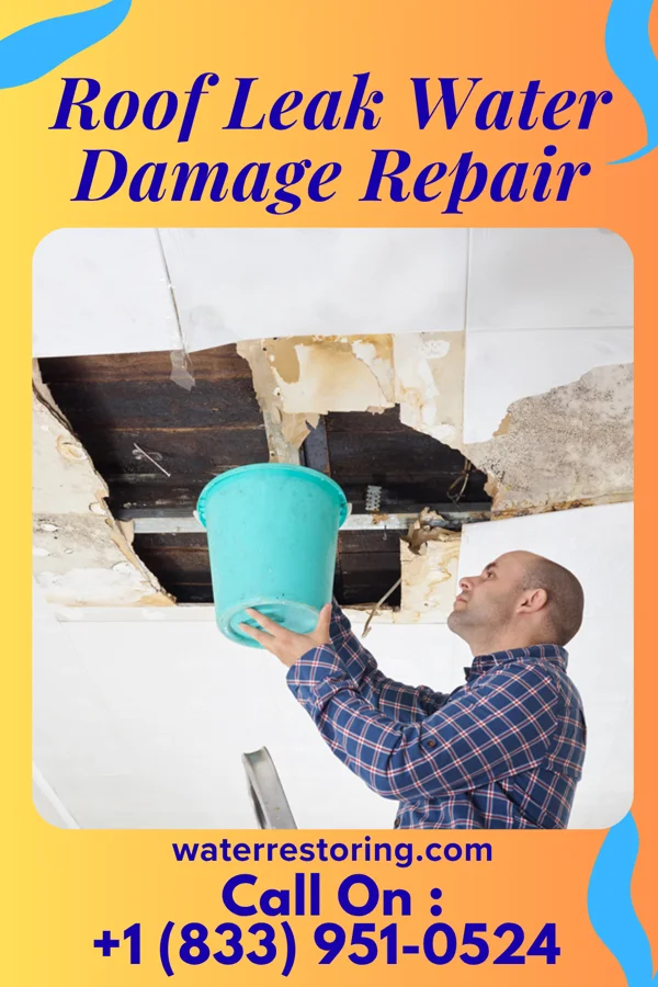 Roof Leak Water Damage Repair in Lake Poinsett, SD